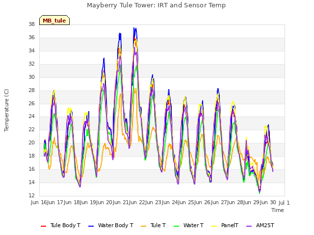 plot of Mayberry Tule Tower: IRT and Sensor Temp