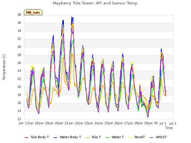 plot of Mayberry Tule Tower: IRT and Sensor Temp