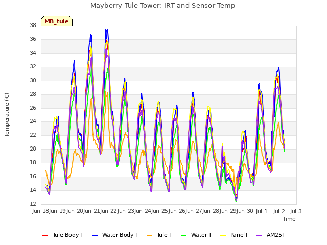 plot of Mayberry Tule Tower: IRT and Sensor Temp