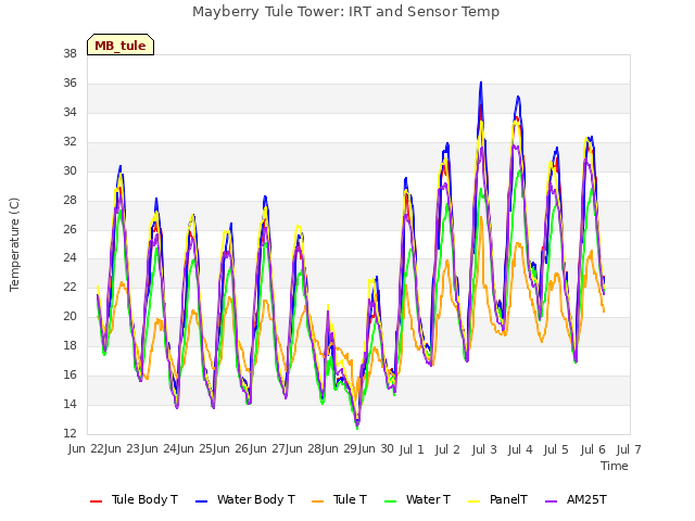 plot of Mayberry Tule Tower: IRT and Sensor Temp