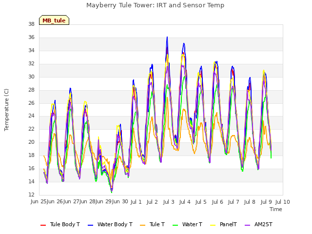 plot of Mayberry Tule Tower: IRT and Sensor Temp