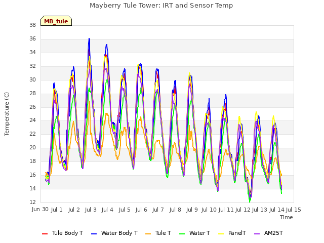 plot of Mayberry Tule Tower: IRT and Sensor Temp