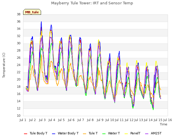 plot of Mayberry Tule Tower: IRT and Sensor Temp