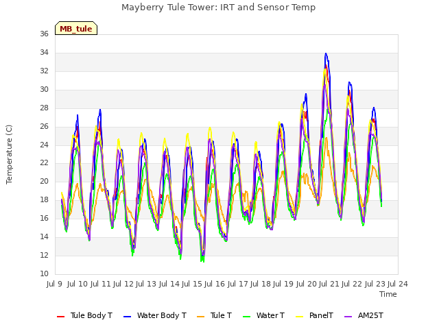 plot of Mayberry Tule Tower: IRT and Sensor Temp