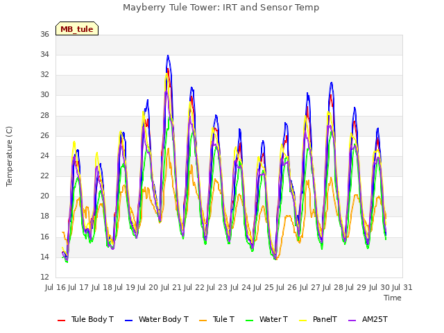 plot of Mayberry Tule Tower: IRT and Sensor Temp