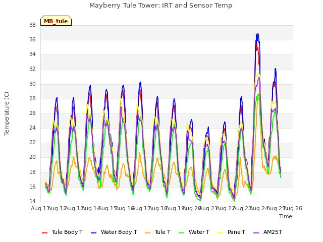 plot of Mayberry Tule Tower: IRT and Sensor Temp