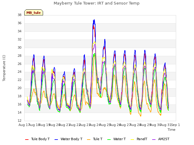 plot of Mayberry Tule Tower: IRT and Sensor Temp