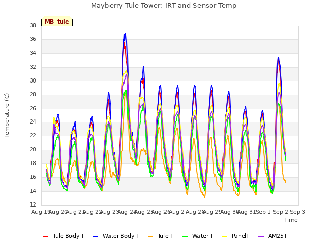 plot of Mayberry Tule Tower: IRT and Sensor Temp