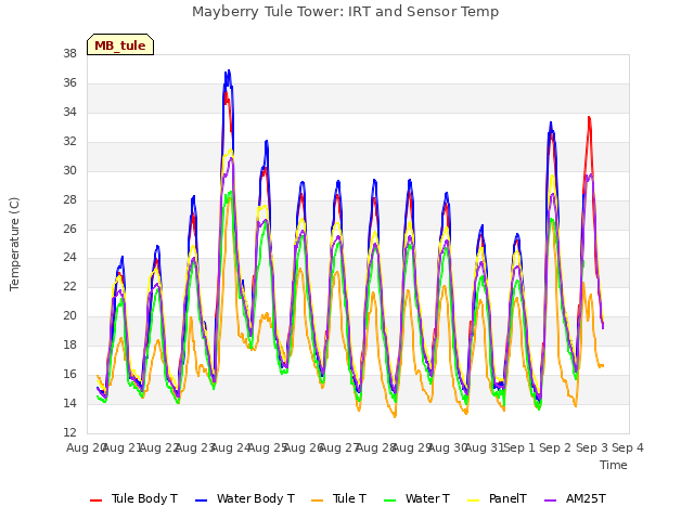 plot of Mayberry Tule Tower: IRT and Sensor Temp