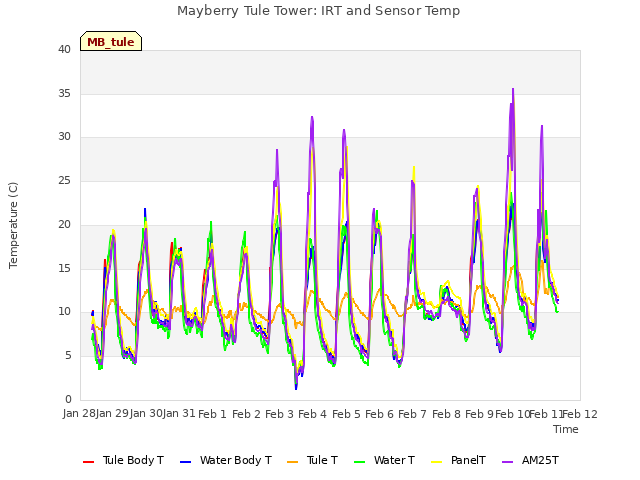 plot of Mayberry Tule Tower: IRT and Sensor Temp