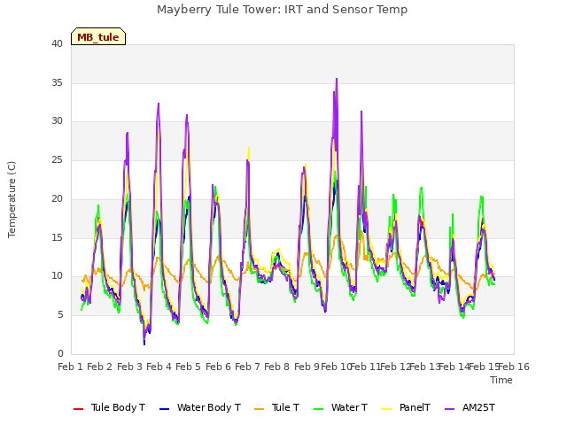 plot of Mayberry Tule Tower: IRT and Sensor Temp