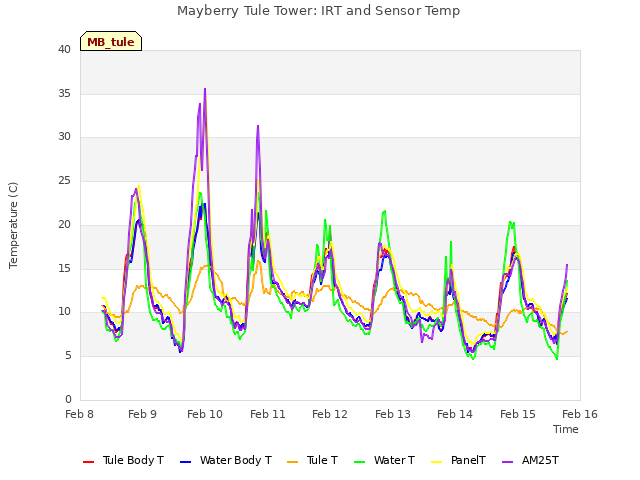 plot of Mayberry Tule Tower: IRT and Sensor Temp