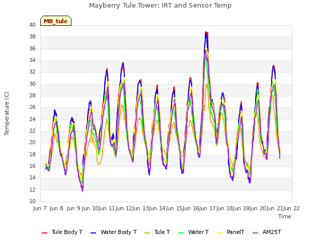 plot of Mayberry Tule Tower: IRT and Sensor Temp