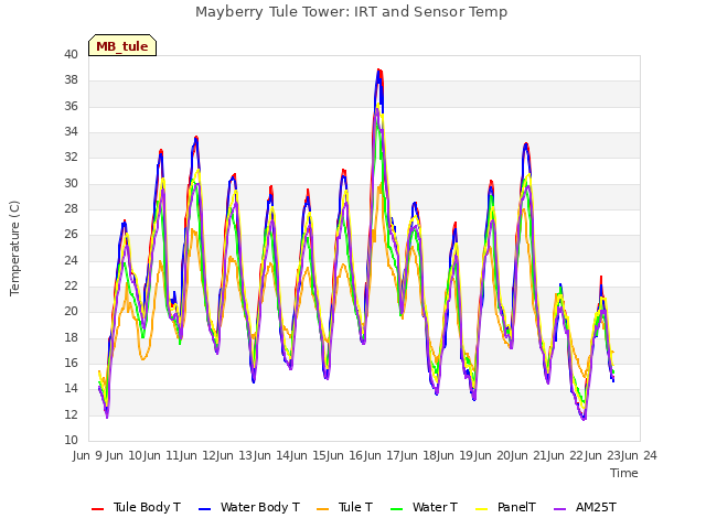 plot of Mayberry Tule Tower: IRT and Sensor Temp