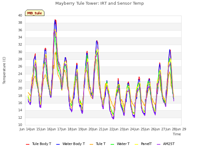 plot of Mayberry Tule Tower: IRT and Sensor Temp