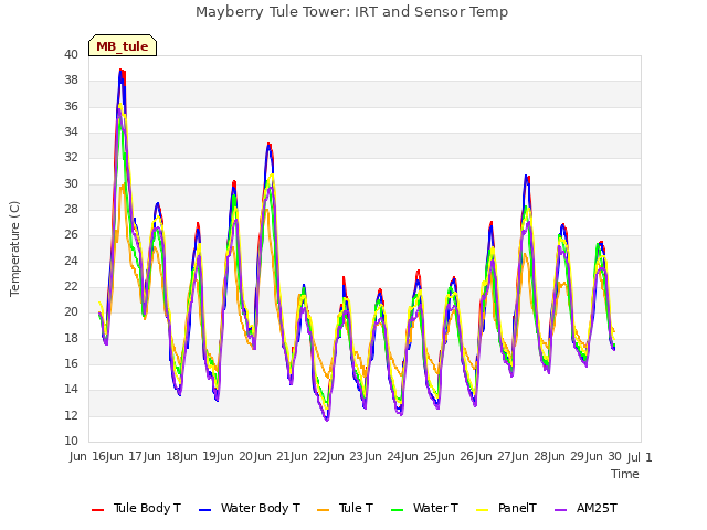 plot of Mayberry Tule Tower: IRT and Sensor Temp