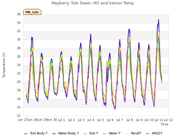 plot of Mayberry Tule Tower: IRT and Sensor Temp
