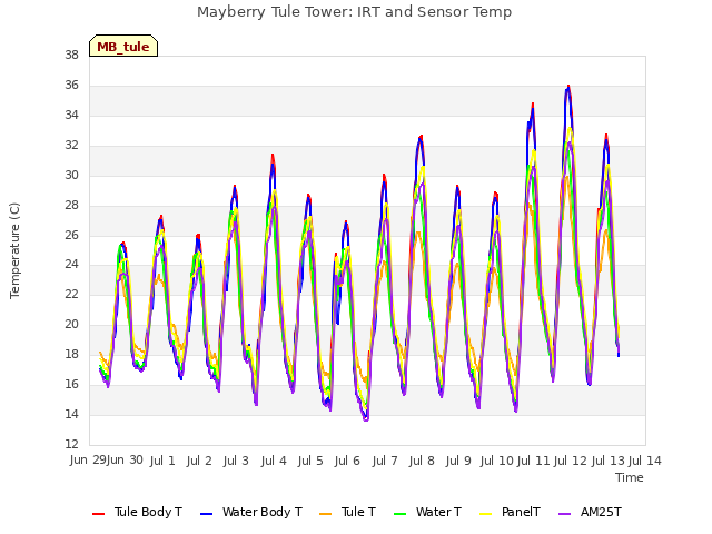 plot of Mayberry Tule Tower: IRT and Sensor Temp