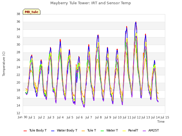 plot of Mayberry Tule Tower: IRT and Sensor Temp