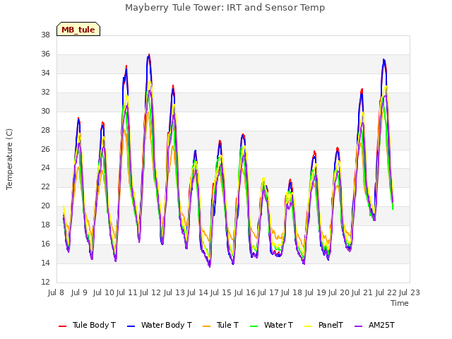 plot of Mayberry Tule Tower: IRT and Sensor Temp