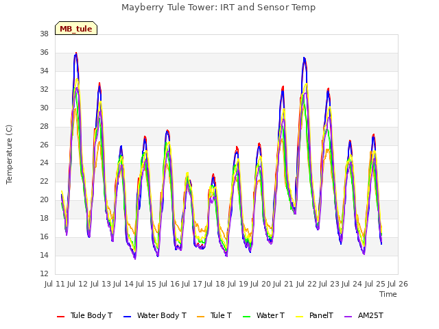 plot of Mayberry Tule Tower: IRT and Sensor Temp