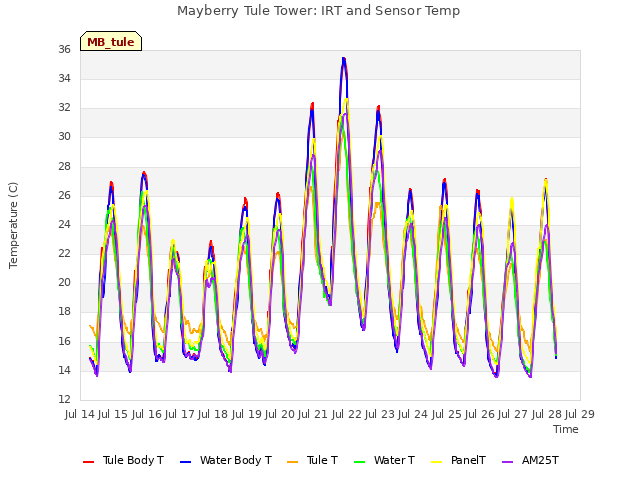 plot of Mayberry Tule Tower: IRT and Sensor Temp