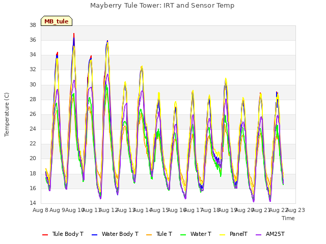 plot of Mayberry Tule Tower: IRT and Sensor Temp