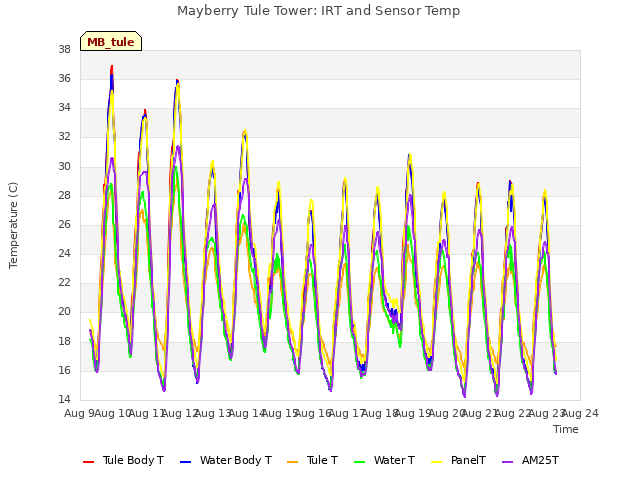 plot of Mayberry Tule Tower: IRT and Sensor Temp