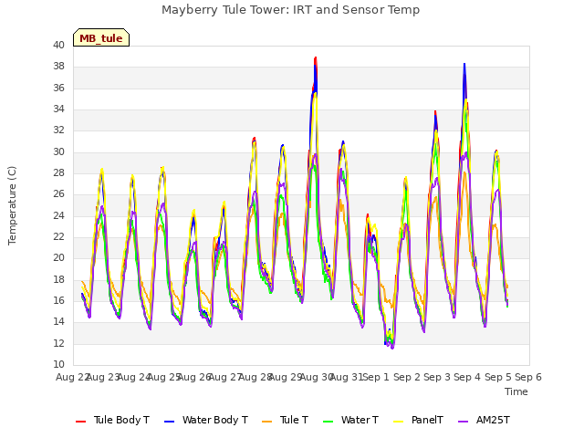 plot of Mayberry Tule Tower: IRT and Sensor Temp