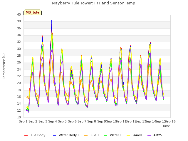 plot of Mayberry Tule Tower: IRT and Sensor Temp