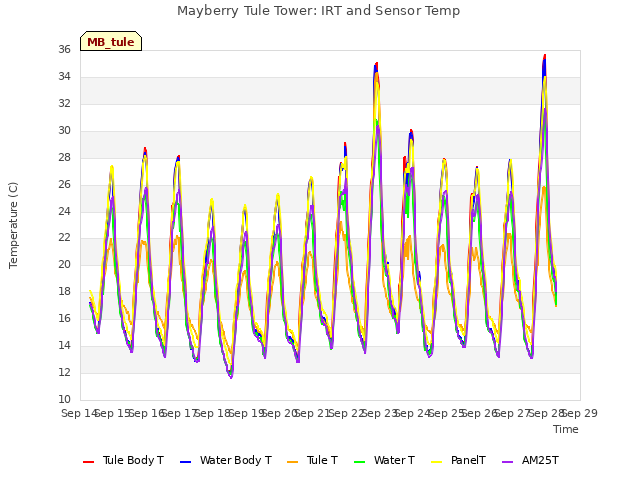 plot of Mayberry Tule Tower: IRT and Sensor Temp