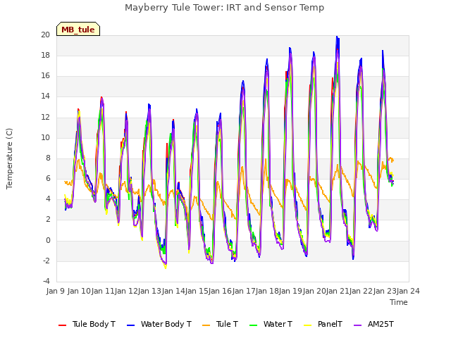 plot of Mayberry Tule Tower: IRT and Sensor Temp