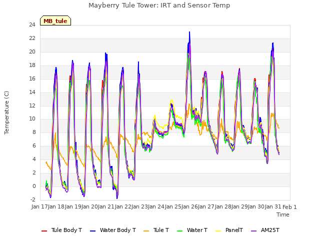 plot of Mayberry Tule Tower: IRT and Sensor Temp