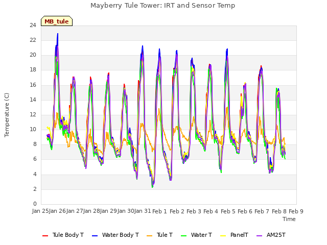 plot of Mayberry Tule Tower: IRT and Sensor Temp