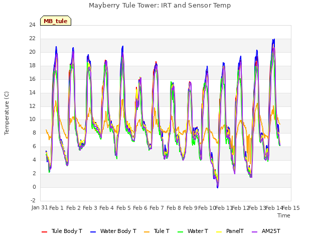 plot of Mayberry Tule Tower: IRT and Sensor Temp