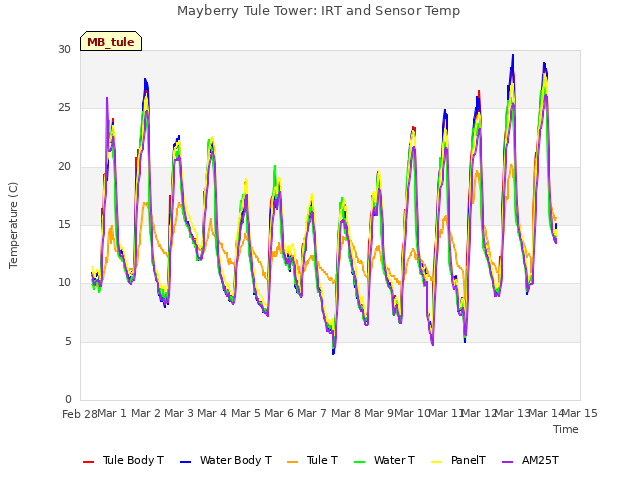 plot of Mayberry Tule Tower: IRT and Sensor Temp