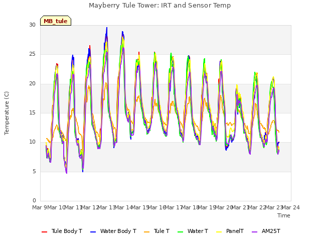 plot of Mayberry Tule Tower: IRT and Sensor Temp