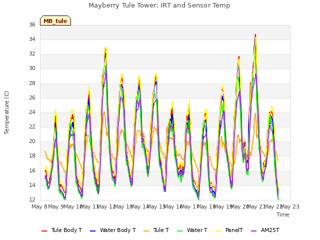 plot of Mayberry Tule Tower: IRT and Sensor Temp