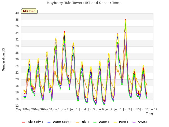 plot of Mayberry Tule Tower: IRT and Sensor Temp