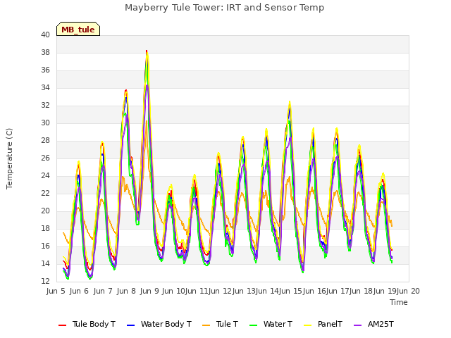 plot of Mayberry Tule Tower: IRT and Sensor Temp