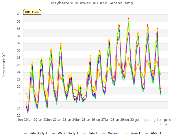 plot of Mayberry Tule Tower: IRT and Sensor Temp