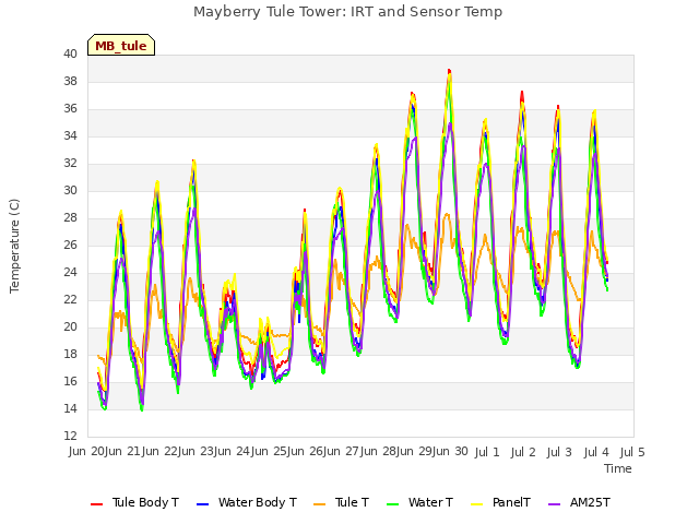 plot of Mayberry Tule Tower: IRT and Sensor Temp