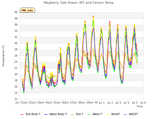 plot of Mayberry Tule Tower: IRT and Sensor Temp
