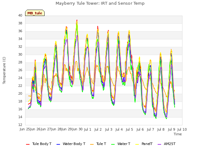 plot of Mayberry Tule Tower: IRT and Sensor Temp