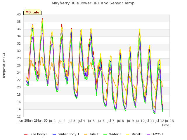 plot of Mayberry Tule Tower: IRT and Sensor Temp