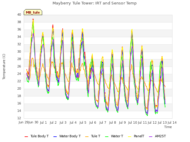 plot of Mayberry Tule Tower: IRT and Sensor Temp