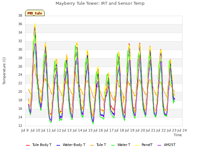 plot of Mayberry Tule Tower: IRT and Sensor Temp