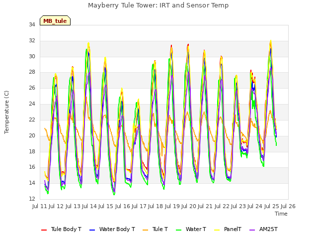 plot of Mayberry Tule Tower: IRT and Sensor Temp