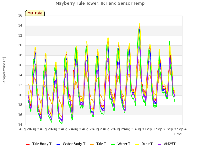 plot of Mayberry Tule Tower: IRT and Sensor Temp