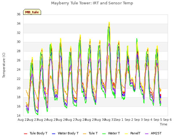 plot of Mayberry Tule Tower: IRT and Sensor Temp